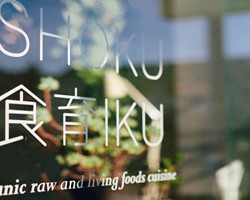 raw vegan dinner melbourne