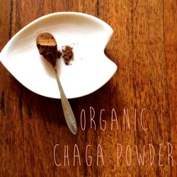 Chaga Powder