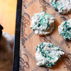 homemade dog treat recipe