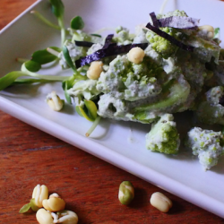 everyday raw vega pumpkin cream marinade
