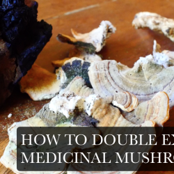 how to double extract medicinal mushroom