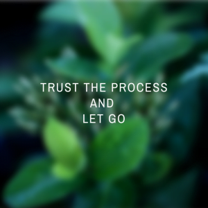 trust the process and let go