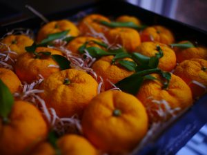 How to Make Raw Vegan Marmalade – Yuzu Marmalade