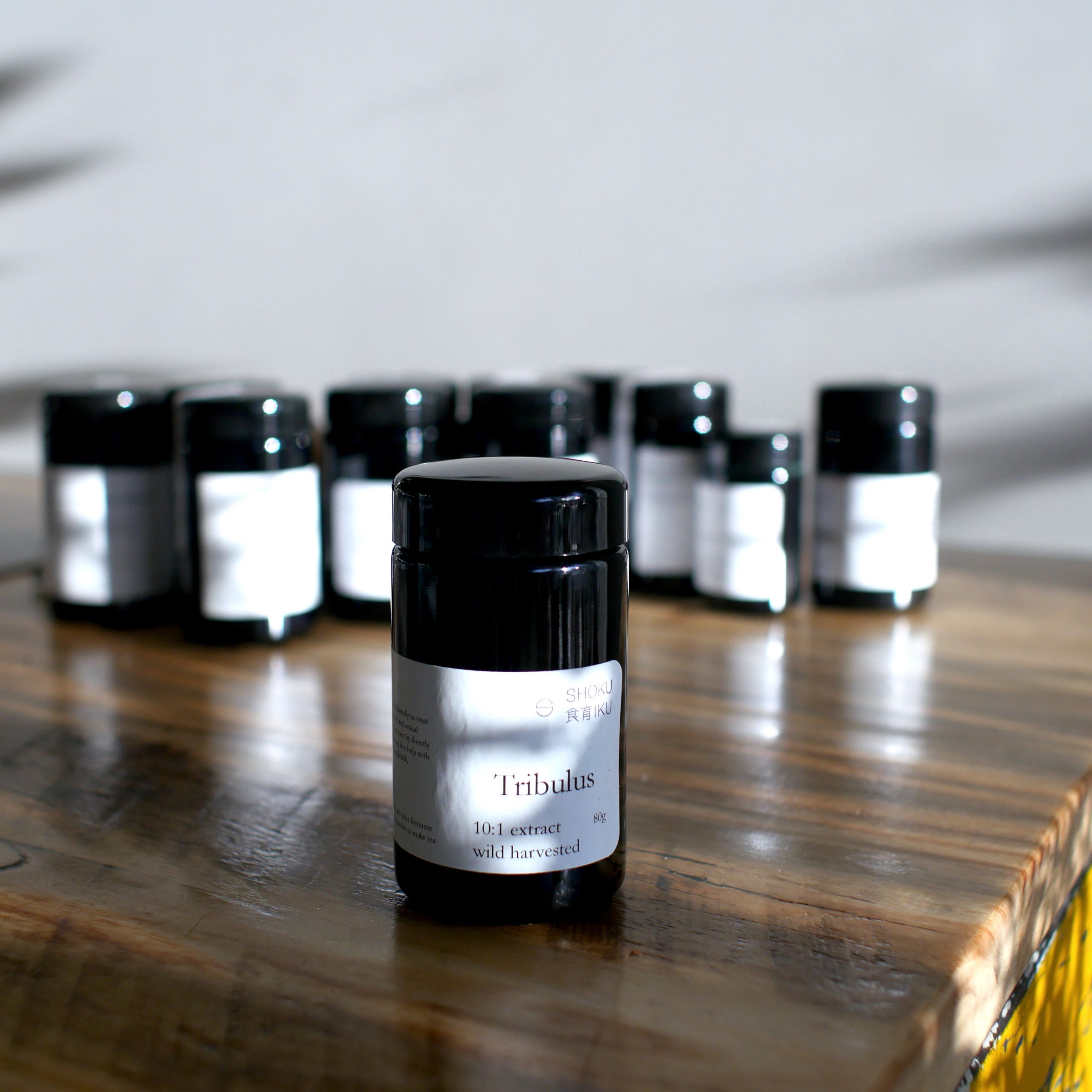 Tribulus extract powder