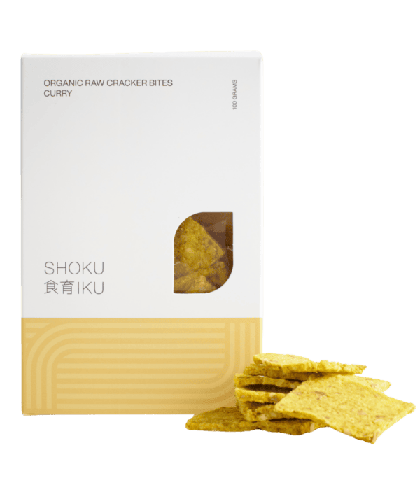 raw vegan crackers curry