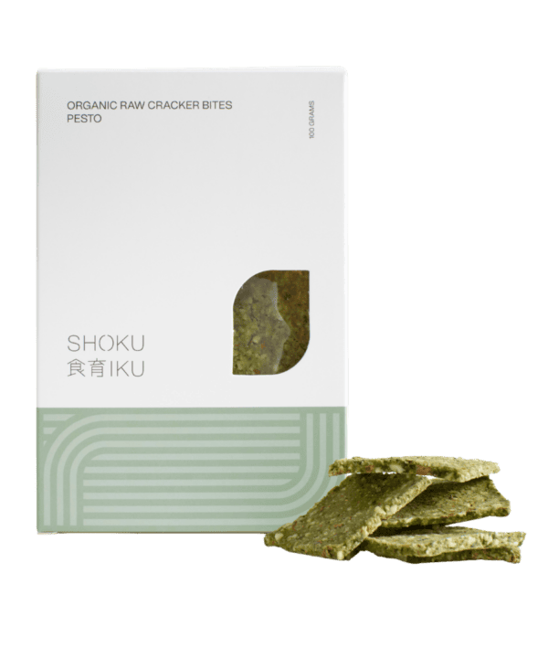 raw vegan crackers pesto