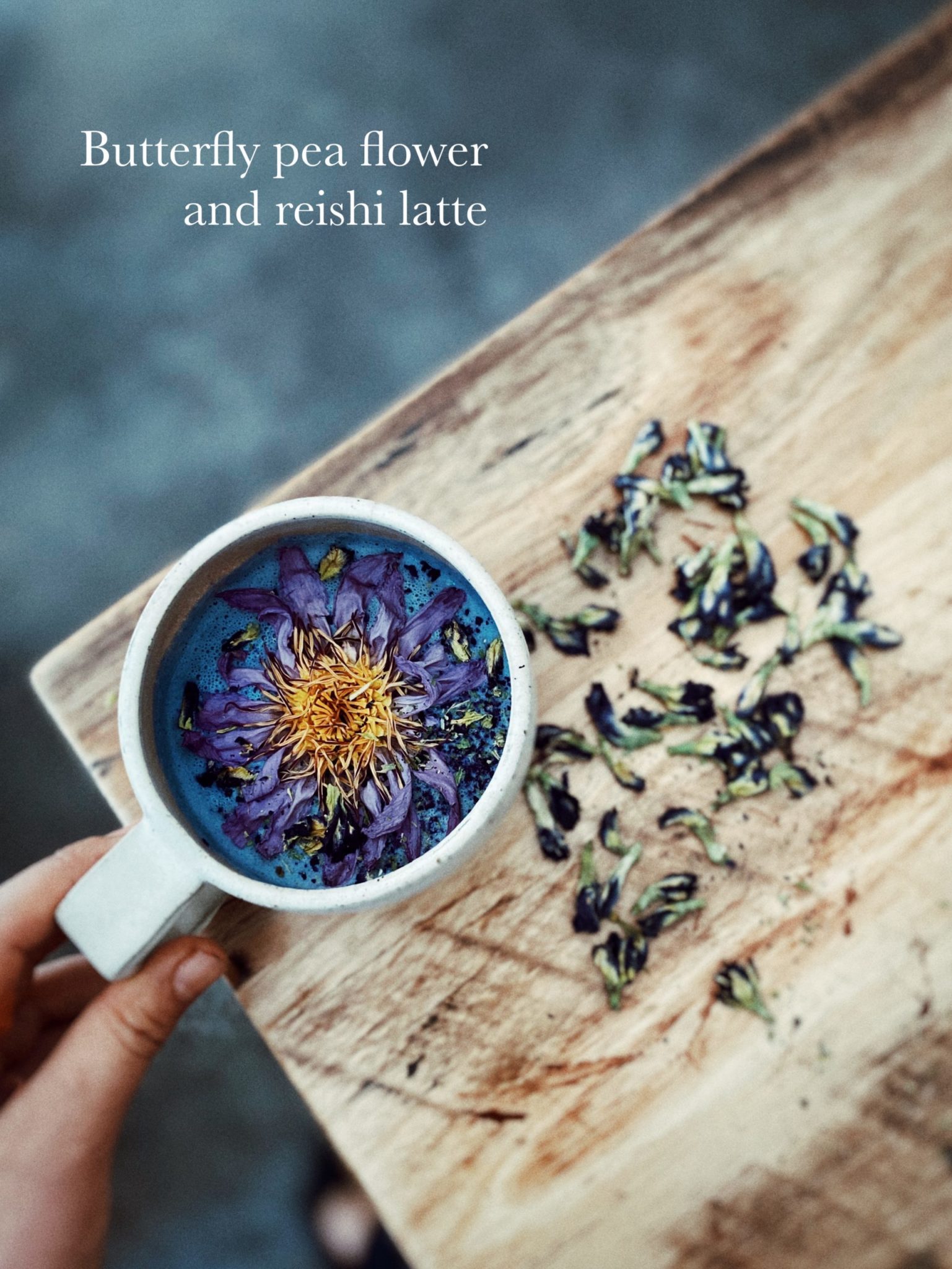 Butterfly Pea Flower and Reishi Latte Recipe Shoku Iku