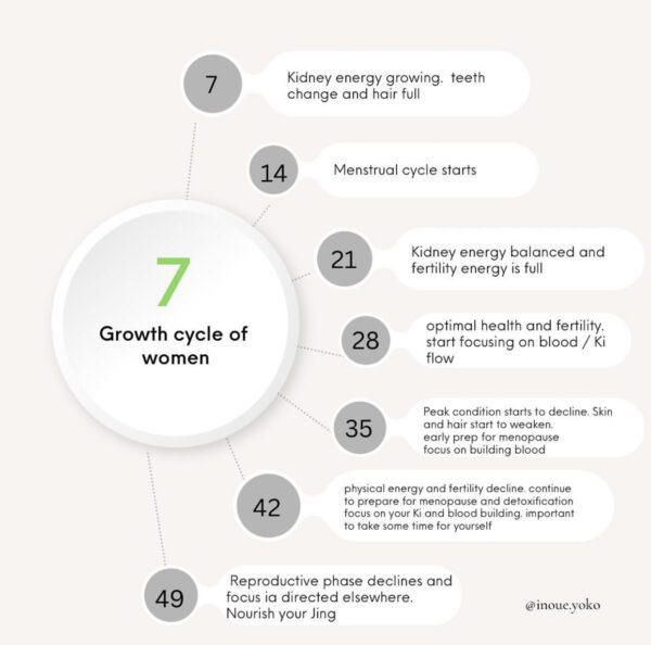 The Life Cycle Of Men And Women Shoku Iku the-life-cycle-of-men-and-women-shoku-iku