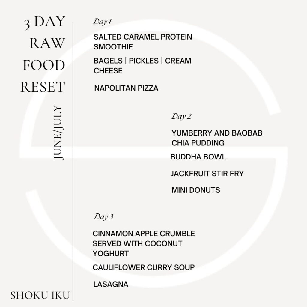 Raw Food Reset 3 Days Meal Plans Program - Organic Food