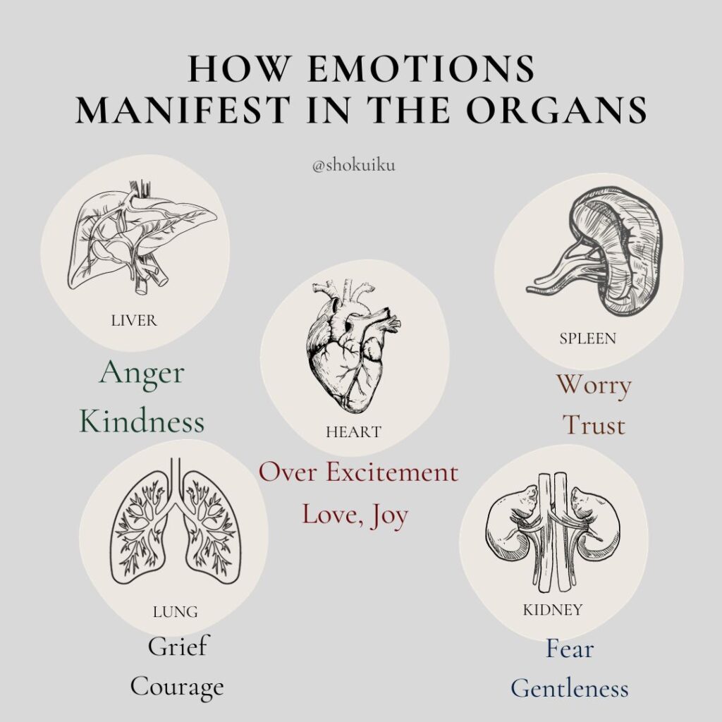 How Emotions manifest in the organs