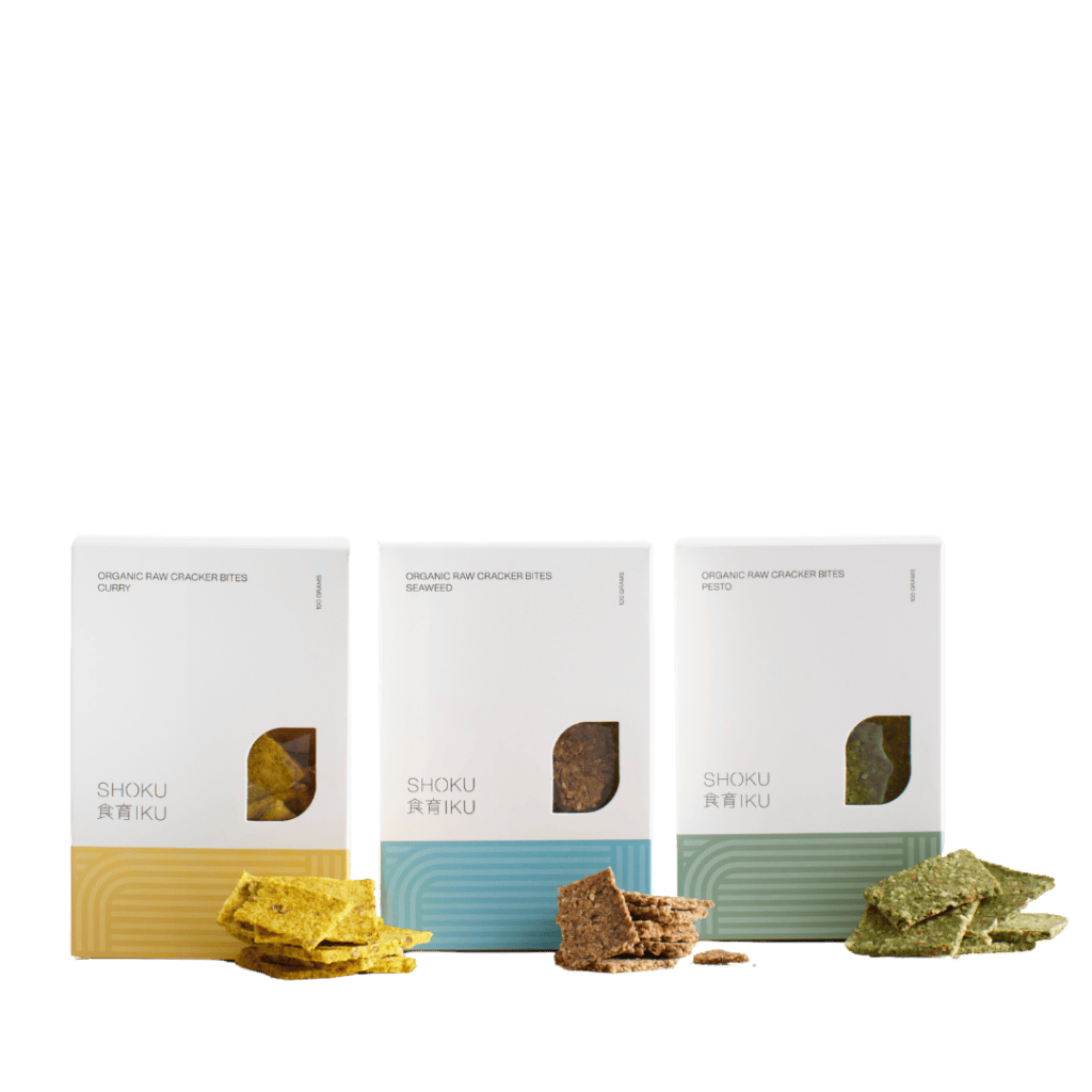 raw vegan gluten free crackers