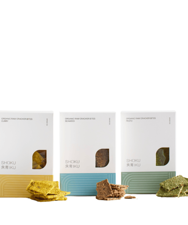 raw vegan gluten free crackers