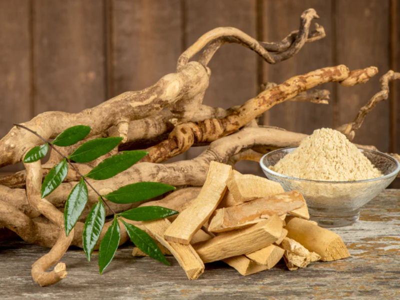 Tongkat Ali Supplement_ Benefits, Side Effects, and Dosage