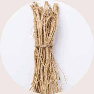 astragalus