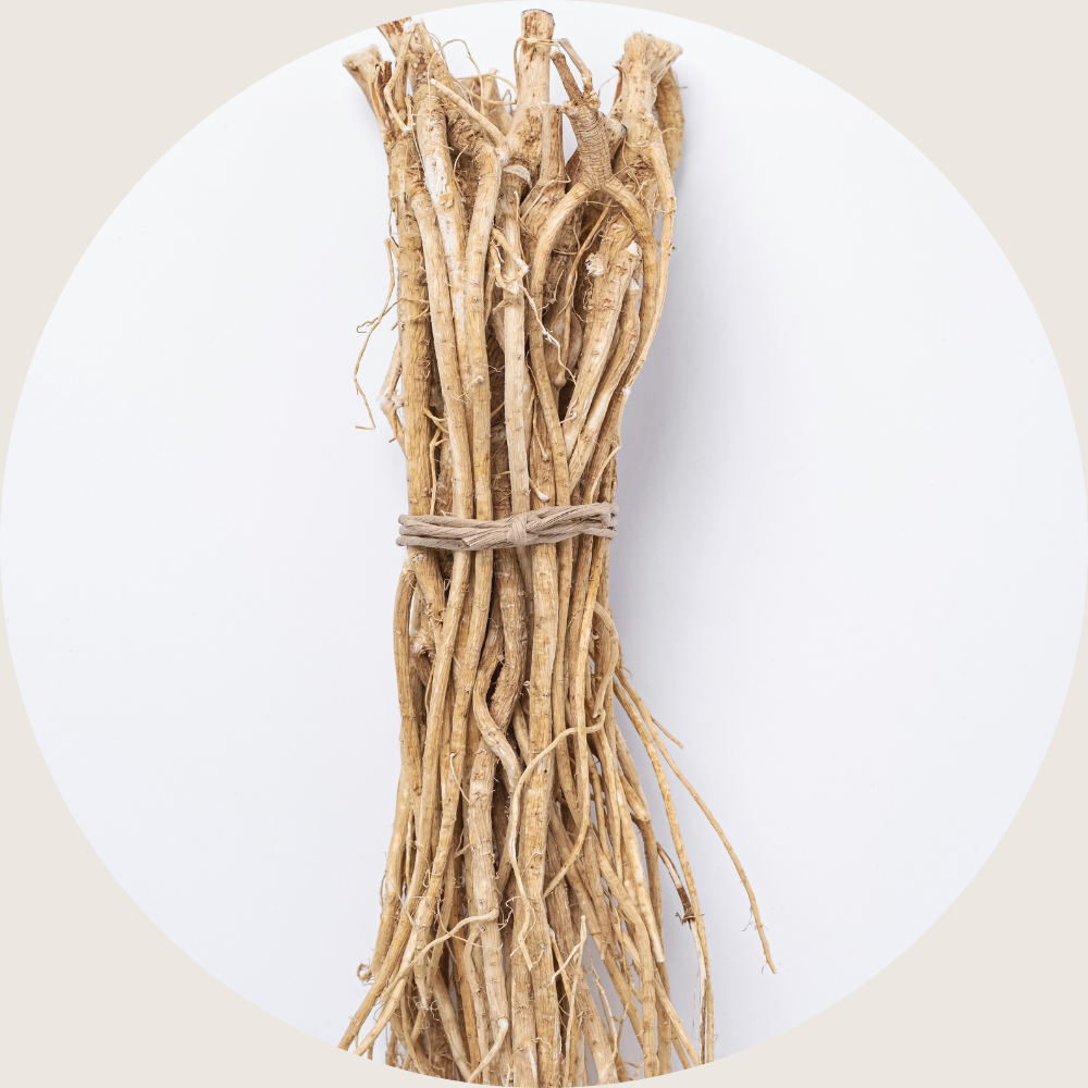 astragalus